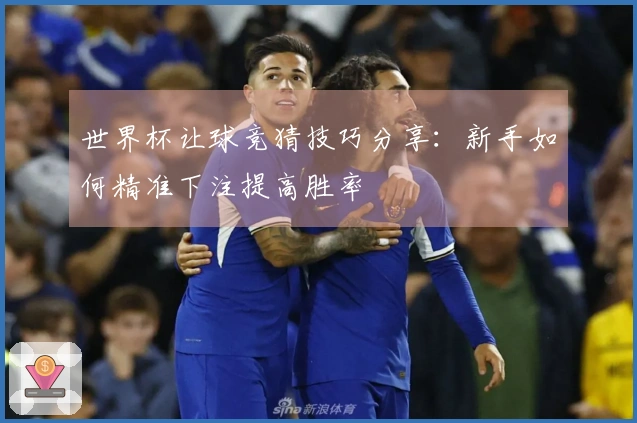 世界杯让球竞猜技巧分享：新手如何精准下注提高胜率