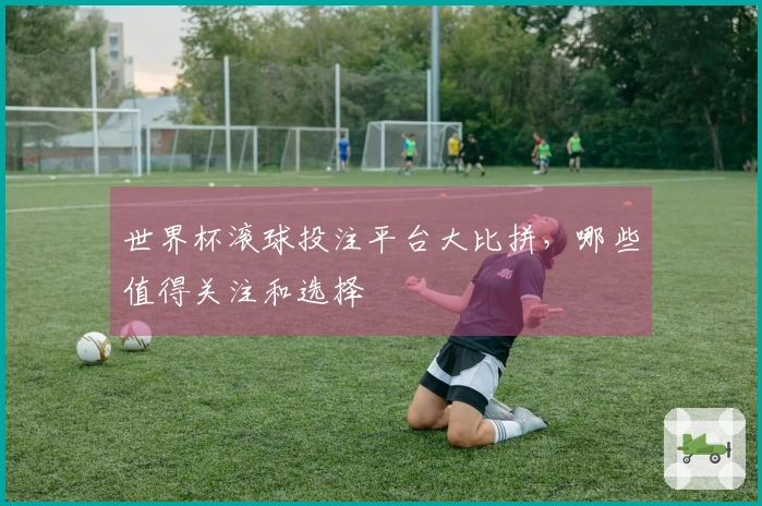 世界杯滚球投注平台大比拼，哪些值得关注和选择