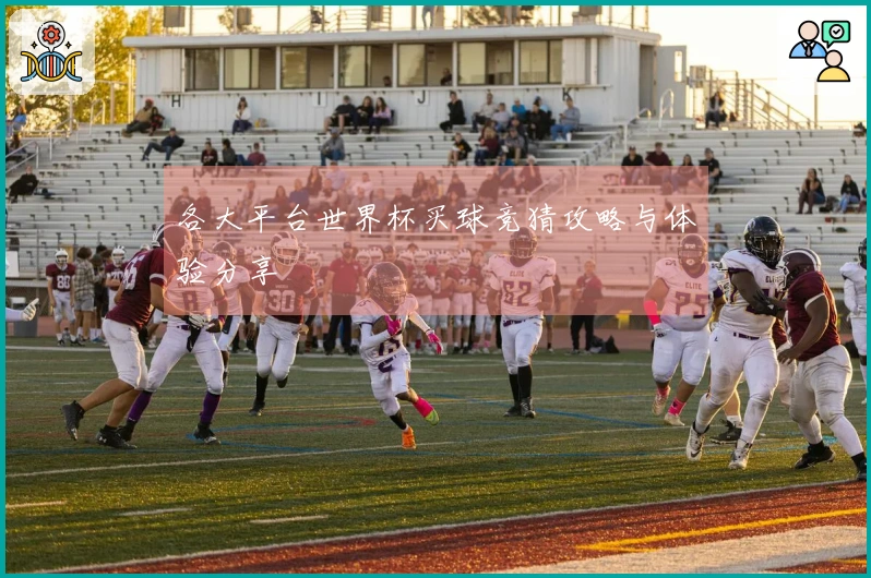 各大平台世界杯买球竞猜攻略与体验分享