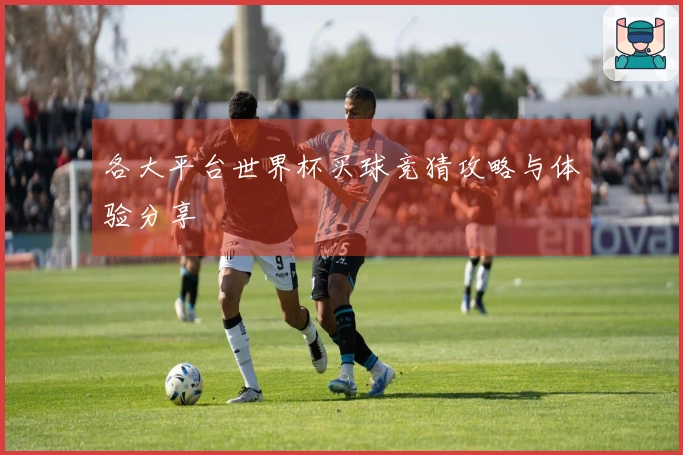 各大平台世界杯买球竞猜攻略与体验分享