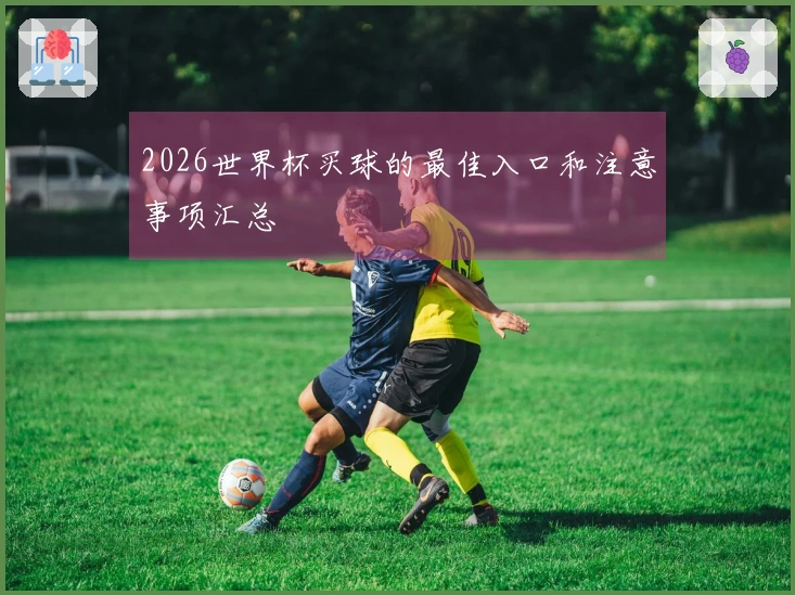 2026世界杯买球的最佳入口和注意事项汇总