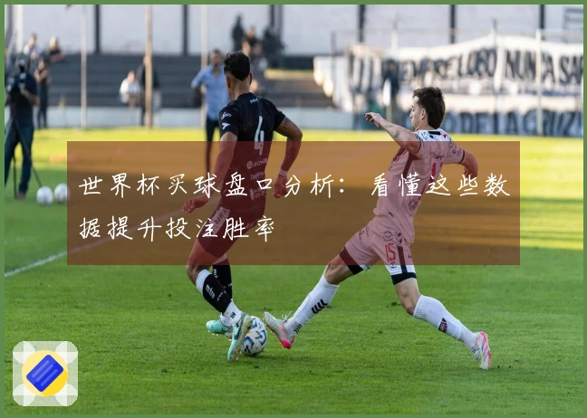 世界杯买球盘口分析：看懂这些数据提升投注胜率