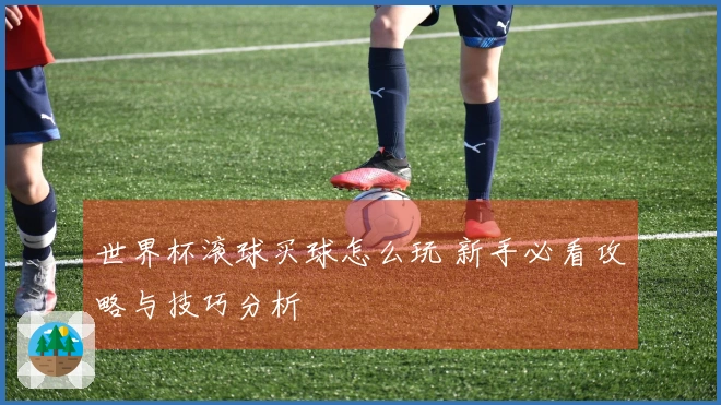 世界杯滚球买球怎么玩 新手必看攻略与技巧分析
