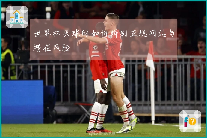 世界杯买球时如何辨别正规网站与潜在风险