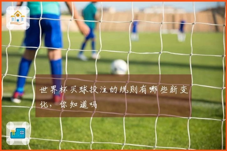 世界杯买球投注的规则有哪些新变化，你知道吗