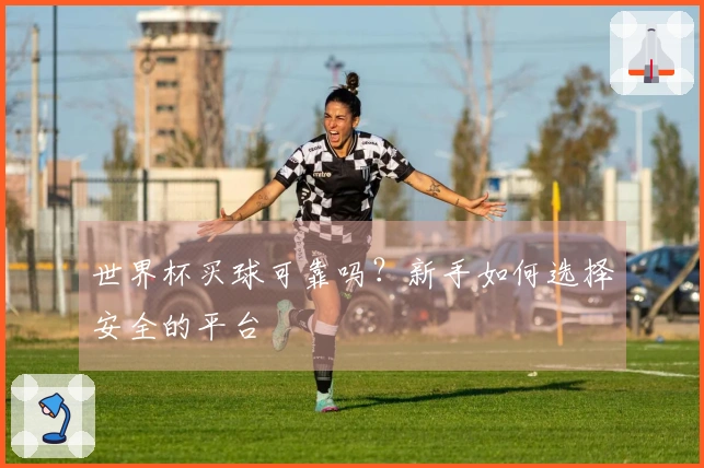 世界杯买球可靠吗？新手如何选择安全的平台
