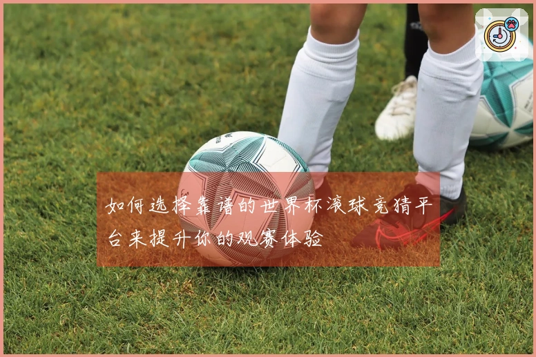 如何选择靠谱的世界杯滚球竞猜平台来提升你的观赛体验