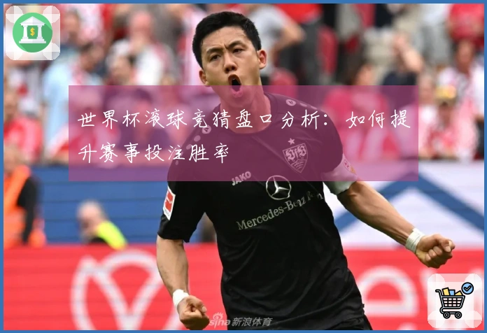 世界杯滚球竞猜盘口分析：如何提升赛事投注胜率