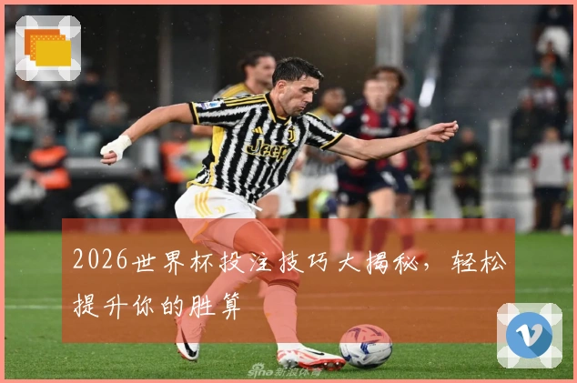 2026世界杯投注技巧大揭秘，轻松提升你的胜算