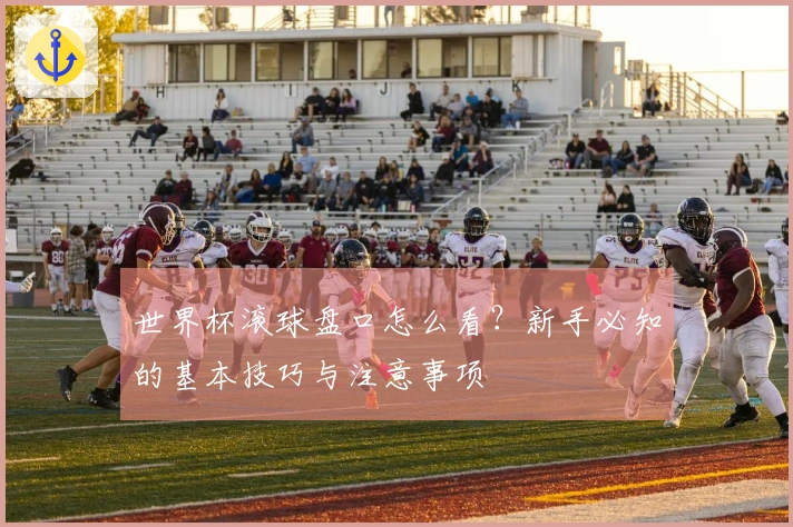世界杯滚球盘口怎么看？新手必知的基本技巧与注意事项