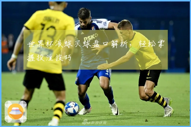 世界杯滚球买球盘口解析，轻松掌握投注技巧