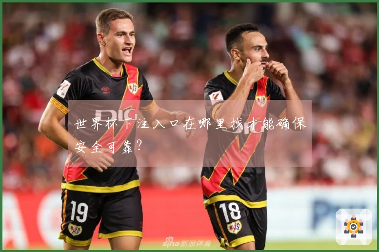 世界杯下注入口在哪里找才能确保安全可靠？