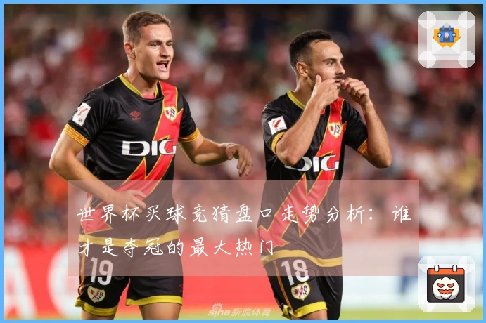 世界杯买球竞猜盘口走势分析：谁才是夺冠的最大热门