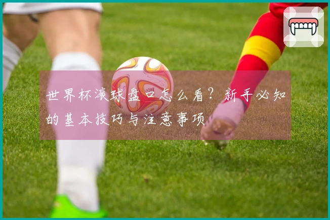 世界杯滚球盘口怎么看？新手必知的基本技巧与注意事项
