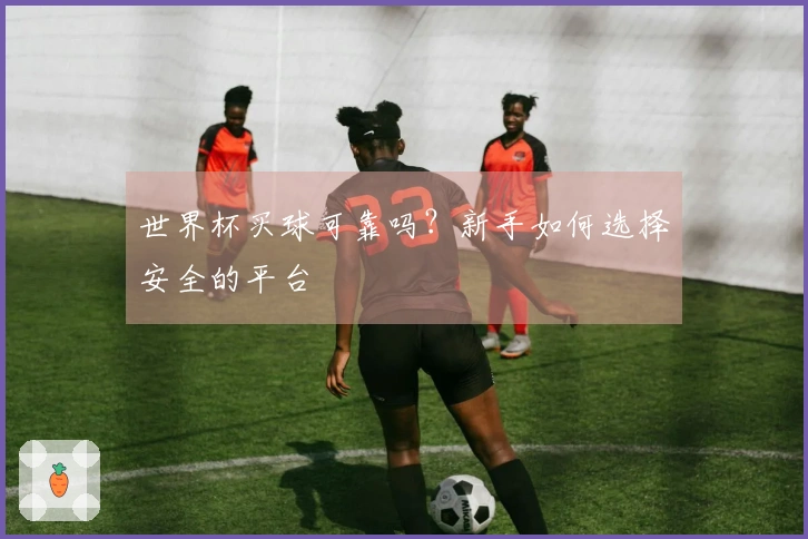 世界杯买球可靠吗？新手如何选择安全的平台