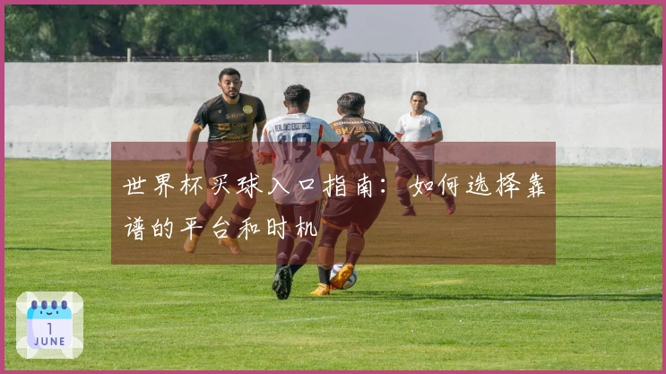 世界杯买球入口指南：如何选择靠谱的平台和时机
